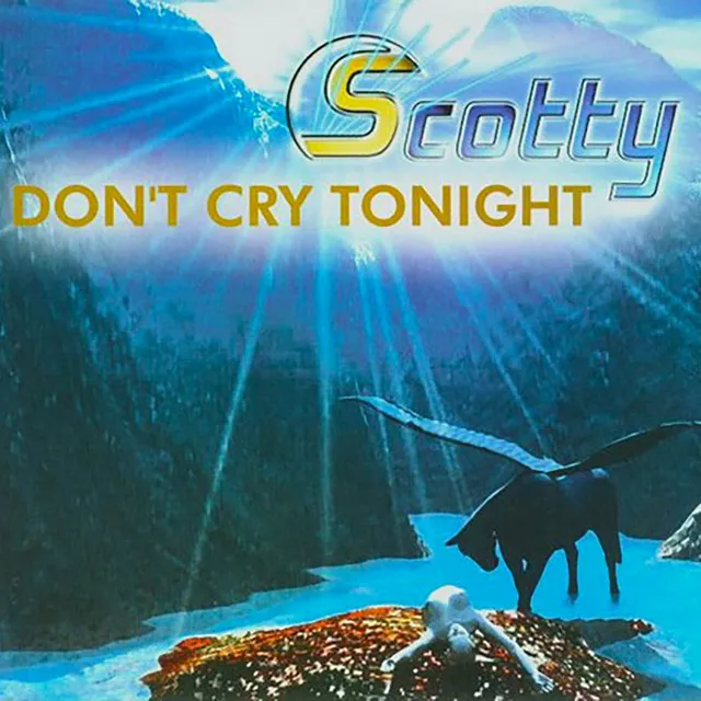 Cover: Don't Cry Tonight